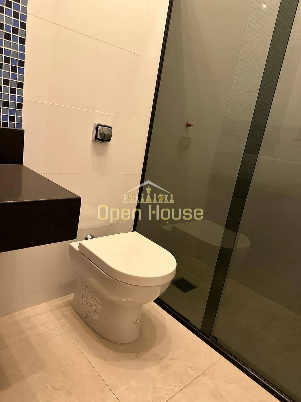 Casa, 4 quartos, 300 m² - Foto 12