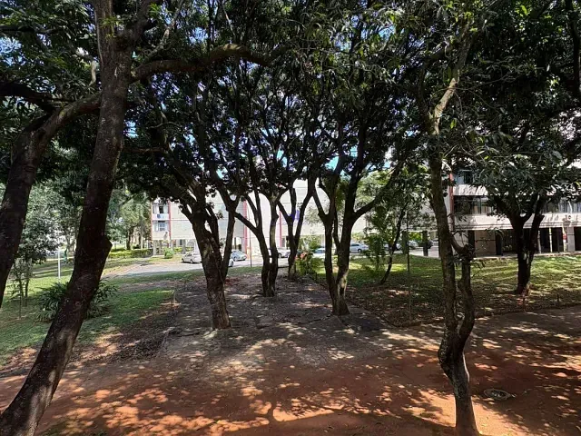 Apartamento 2 quartos e 1 banheiro, para alugar, no bairro Asa Sul em Brasília