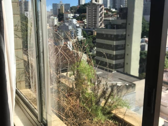 Apartamento 4 quartos e 1 banheiro, para alugar, no bairro São Pedro em Belo Horizonte