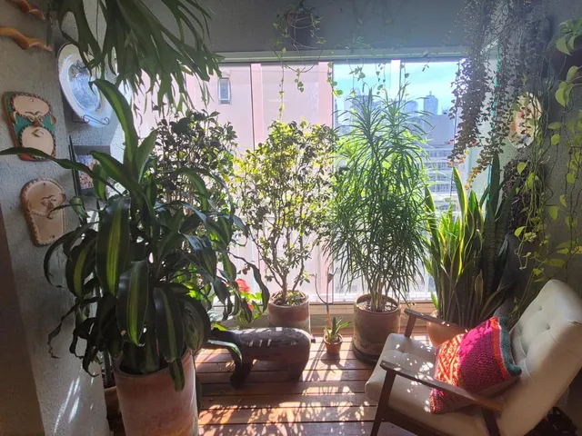 Apartamento 2 quartos e 1 banheiro, à venda, no bairro Bela Vista em São Paulo