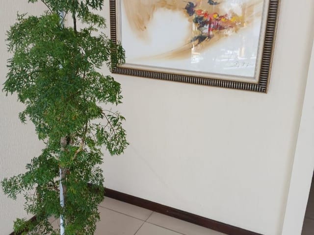 Apartamento 2 quartos e 1 banheiro, para alugar, no bairro Jacarepaguá em Rio de Janeiro