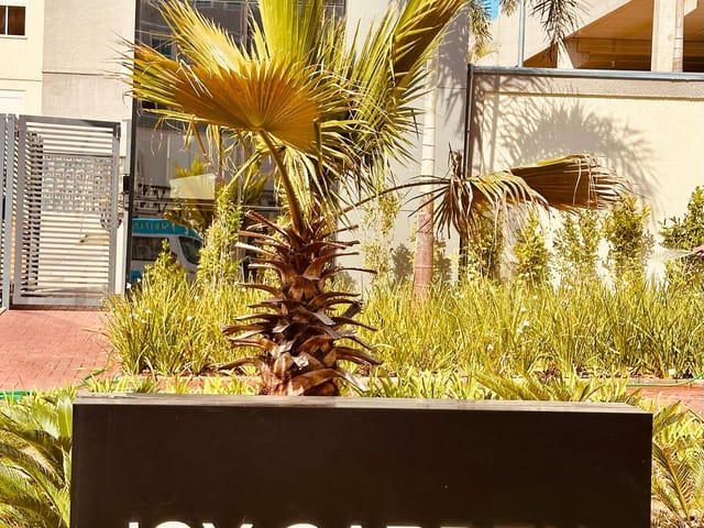 Apartamento 2 quartos e 1 banheiro, para alugar, no bairro Residencial Villa Garden em Campinas