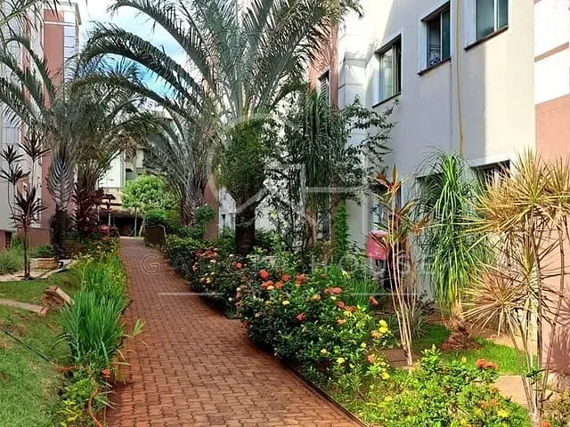 Apartamento 2 quartos e 1 banheiro, à venda, no bairro Vila Monte Alegre em Ribeirão Preto