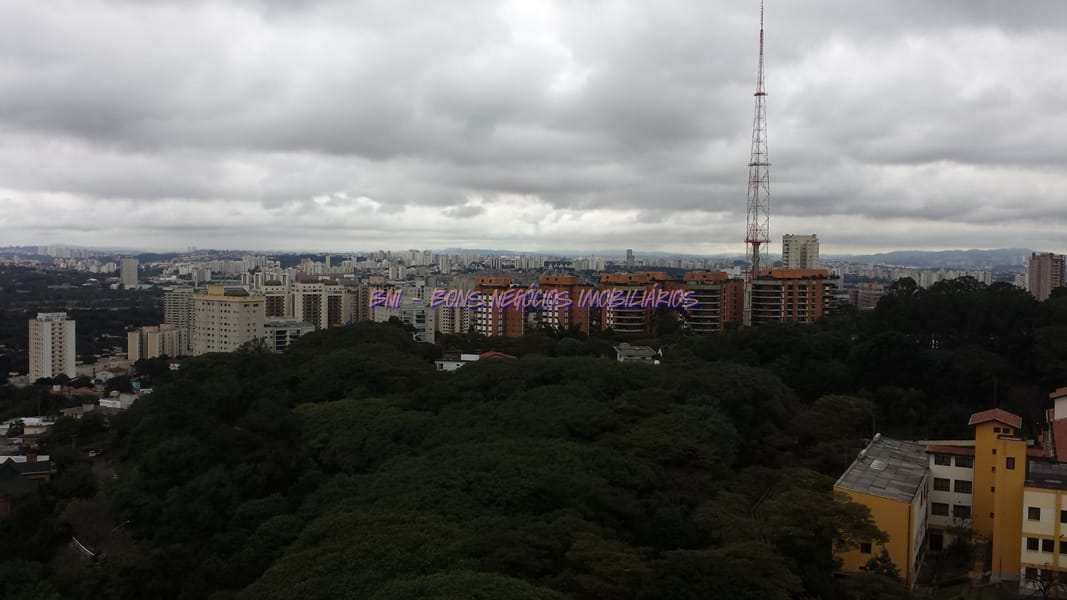 Apartamento, 3 quartos, 249 m² - Foto 33