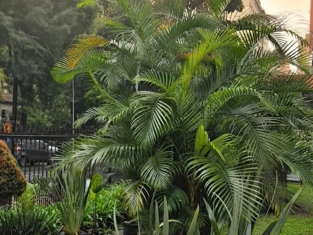 Apartamento 1 quarto e 1 banheiro, para alugar, no bairro Consolação em São Paulo