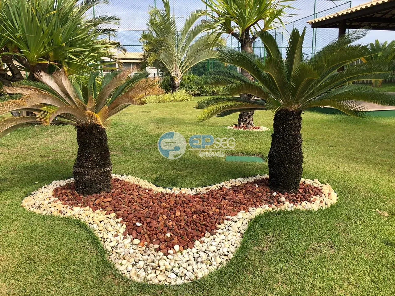 Apartamento, 3 quartos, 75 m² - Foto 18