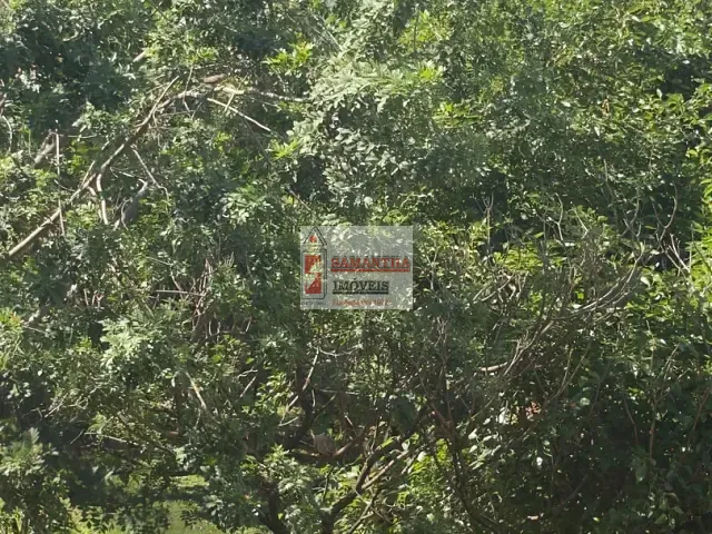 Apartamento 2 quartos e 1 banheiro, à venda, no bairro Setor Sudoeste em Brasília
