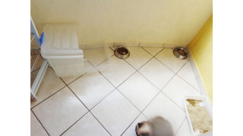 Apartamento à venda 2 Quartos, 1 Suite, 2 Vagas, 70M², Olímpico, São Caetano do Sul - SP 