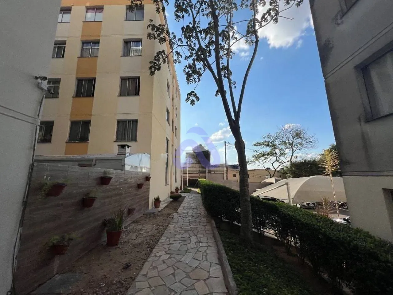Apartamento, 3 quartos, 49 m² - Foto 16