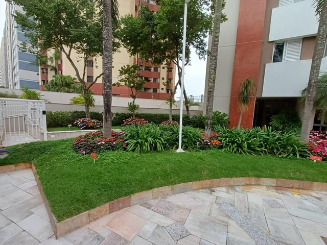 Apartamento com 84m² 3 quartos e 3 banheiros, à venda, no bairro Vila Mariana em São Paulo