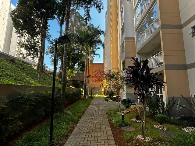 Apartamento 3 quartos e 2 banheiros, à venda, no bairro Vila Paulo Silas em São Paulo