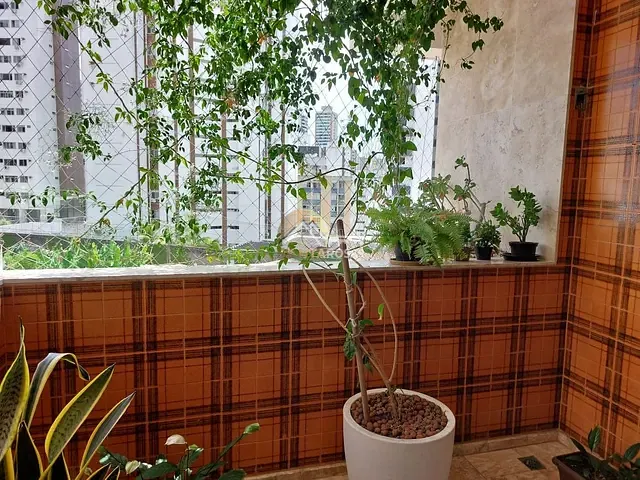 Apartamento 4 quartos e 3 banheiros, à venda, no bairro Jardim Apipema em Salvador