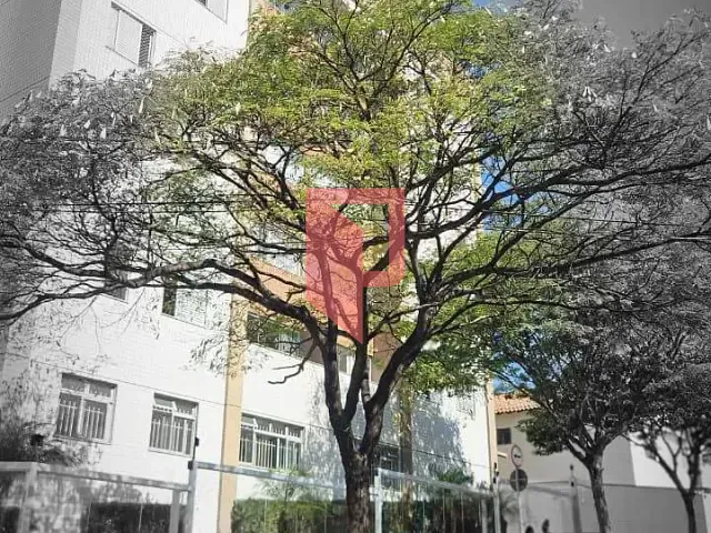 Apartamento com 120m² 3 quartos e 3 banheiros, à venda, no bairro Caiçaras em Belo Horizonte