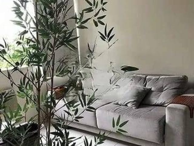 Foto do Apartamento - Apartamento à venda, Humaitá, Rio de Janeiro, RJ | Rio Lar Imóveis