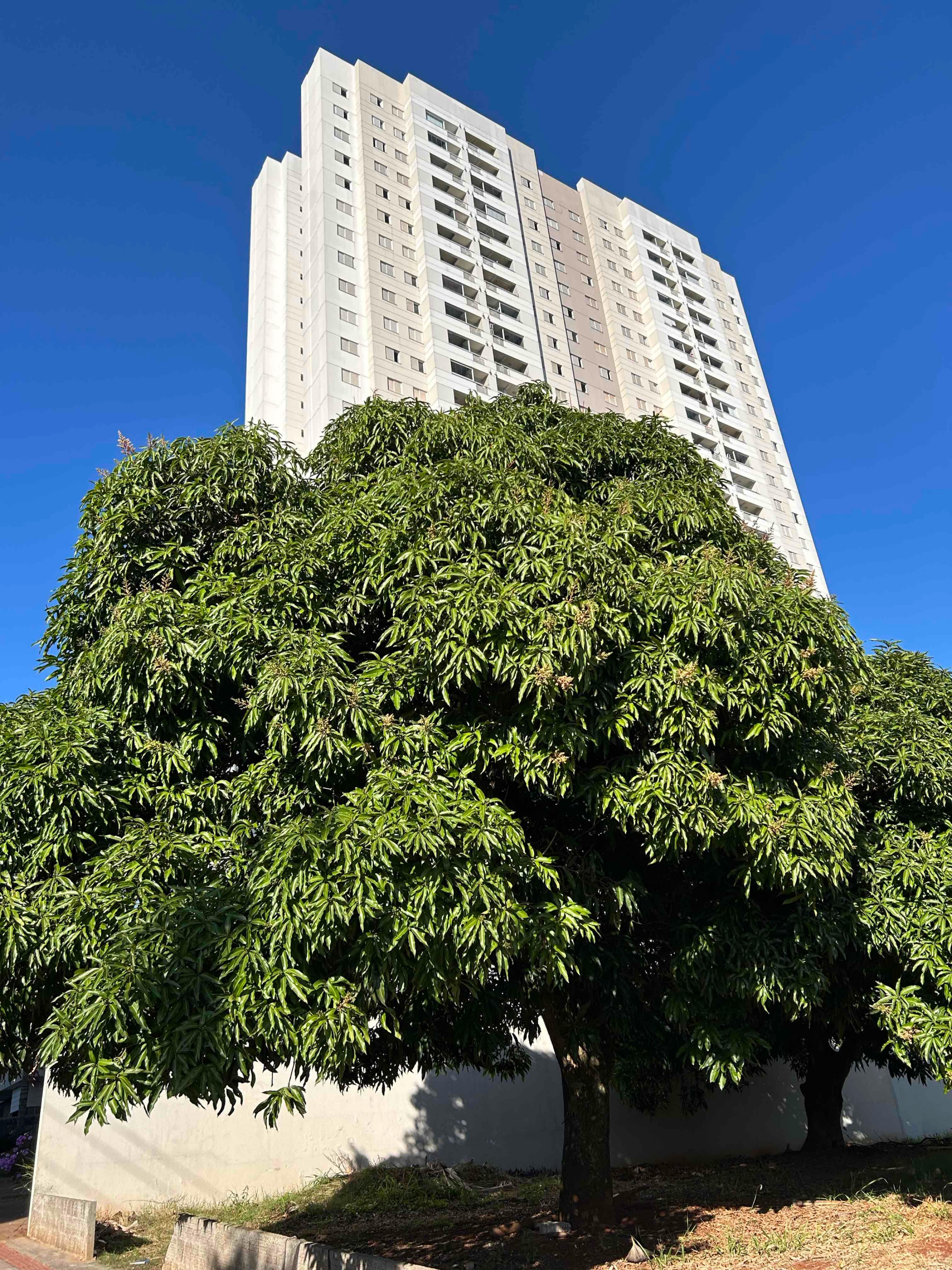 Apartamento, 2 quartos, 74 m² - Foto 37