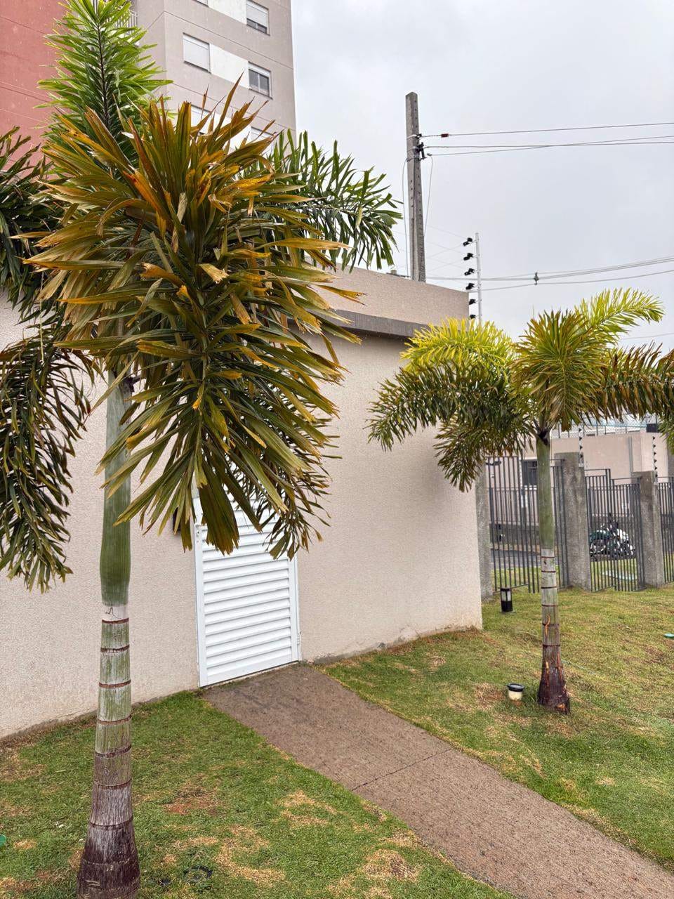 Apartamento, 2 quartos, 52 m² - Foto 3