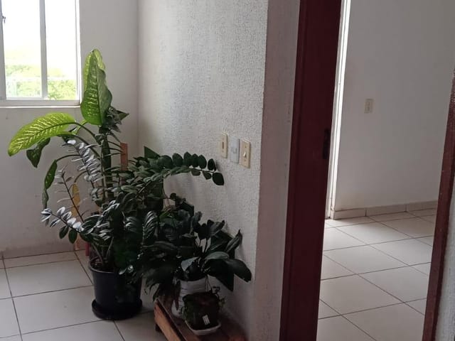 Apartamento com 57m² 2 quartos e 1 banheiro, à venda, no bairro Parque Pecuária em Campos dos Goytacazes