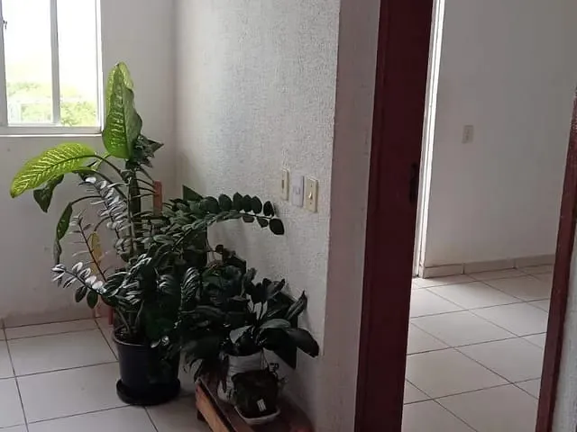 Apartamento com 57m² 2 quartos e 1 banheiro, à venda, no bairro Parque Pecuária em Campos dos Goytacazes