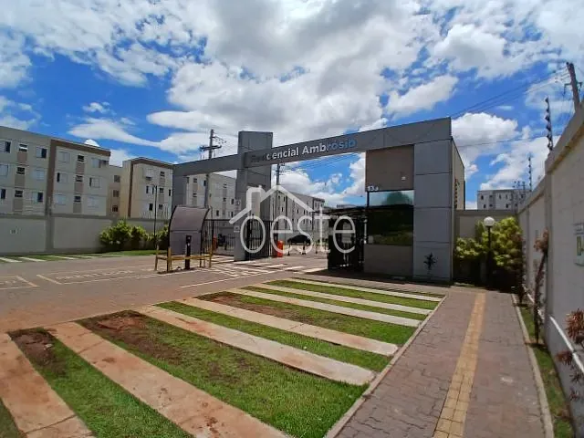 Apartamento com 45m² 2 quartos e 1 banheiro, à venda, no bairro Residencial Mac Knight em Santa Bárbara D'Oeste