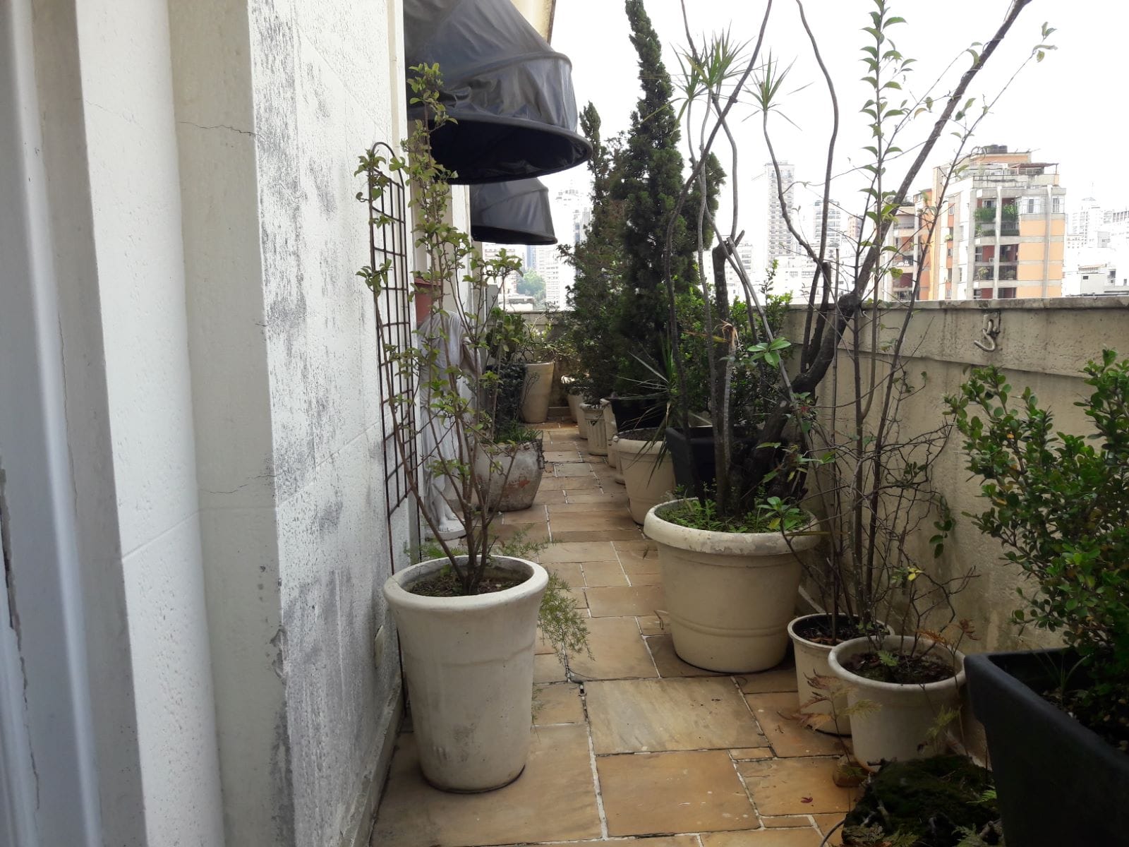Apartamento, 4 quartos, 480 m² - Foto 5