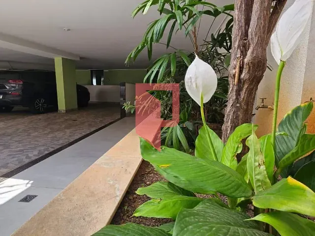 Apartamento com 132m² 3 quartos e 2 banheiros, à venda, no bairro Castelo em Belo Horizonte