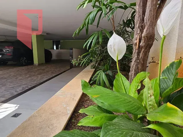 Apartamento com 132m² 3 quartos e 2 banheiros, à venda, no bairro Castelo em Belo Horizonte