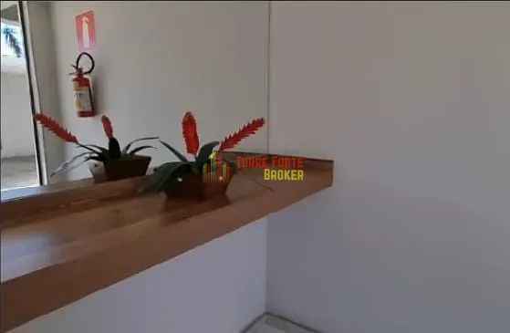 Apartamento, 2 quartos, 41 m² - Foto 19
