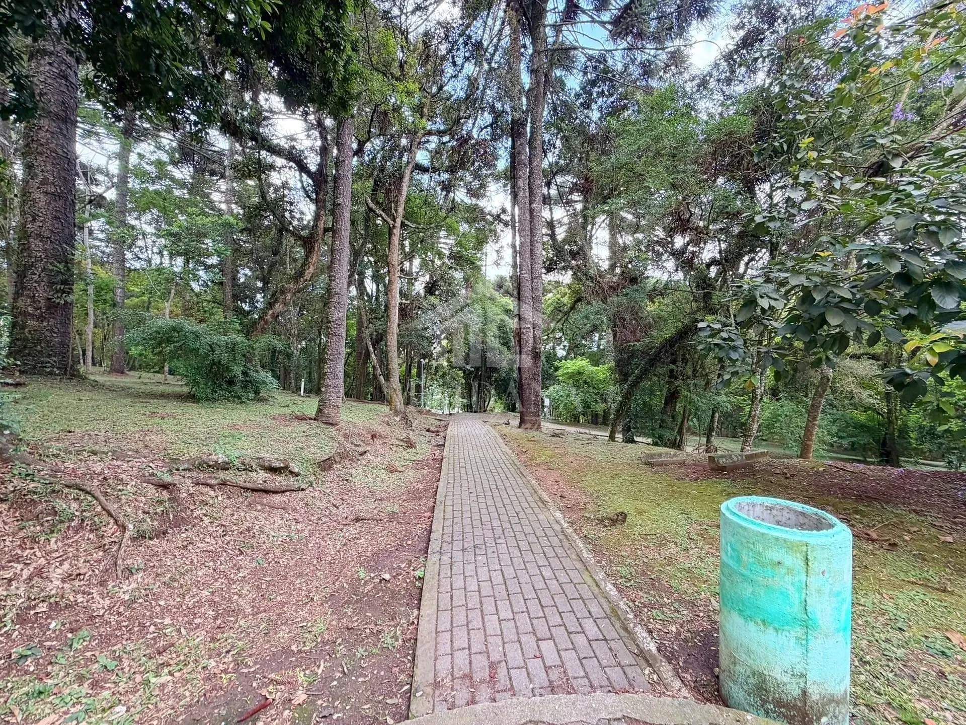 Apartamento, 3 quartos, 56 m² - Foto 24