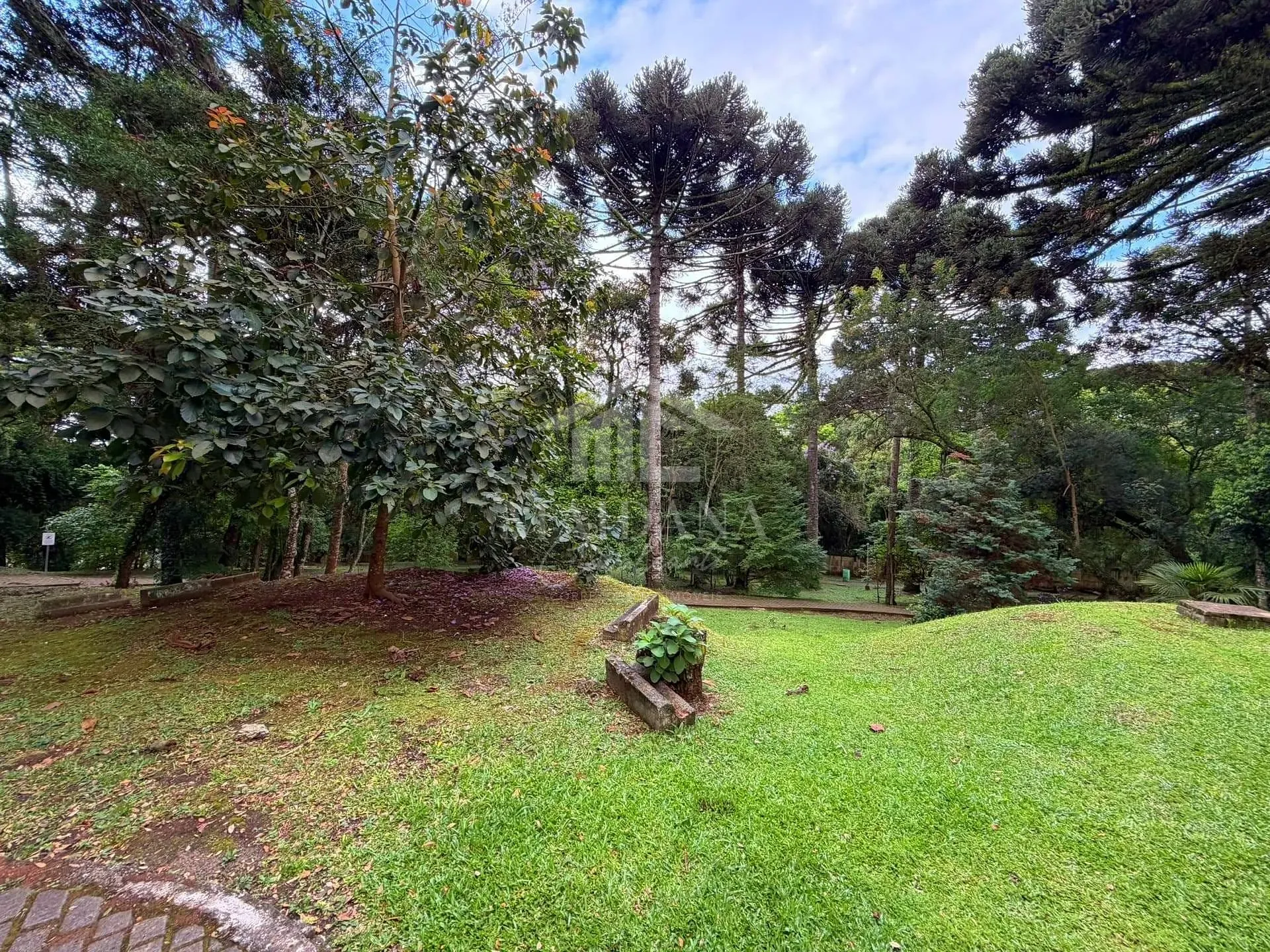 Apartamento, 3 quartos, 56 m² - Foto 25