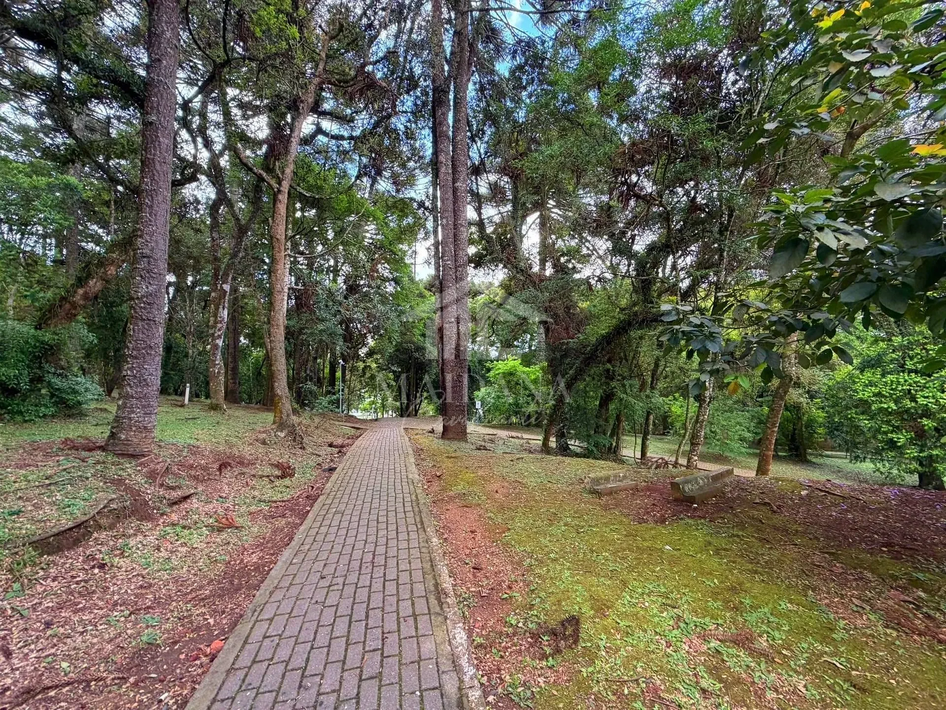 Apartamento, 3 quartos, 56 m² - Foto 26