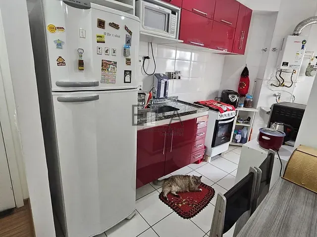 Apartamento com 55m² 2 quartos e 2 banheiros, à venda, no bairro Vila Prudente em São Paulo
