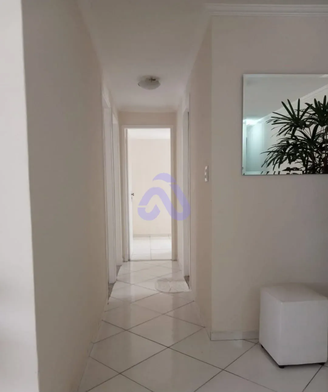 Apartamento, 3 quartos, 79 m² - Foto 3