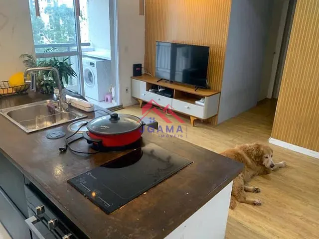 Apartamento 2 quartos e 1 banheiro, à venda, no bairro Parque Reboucas em São Paulo