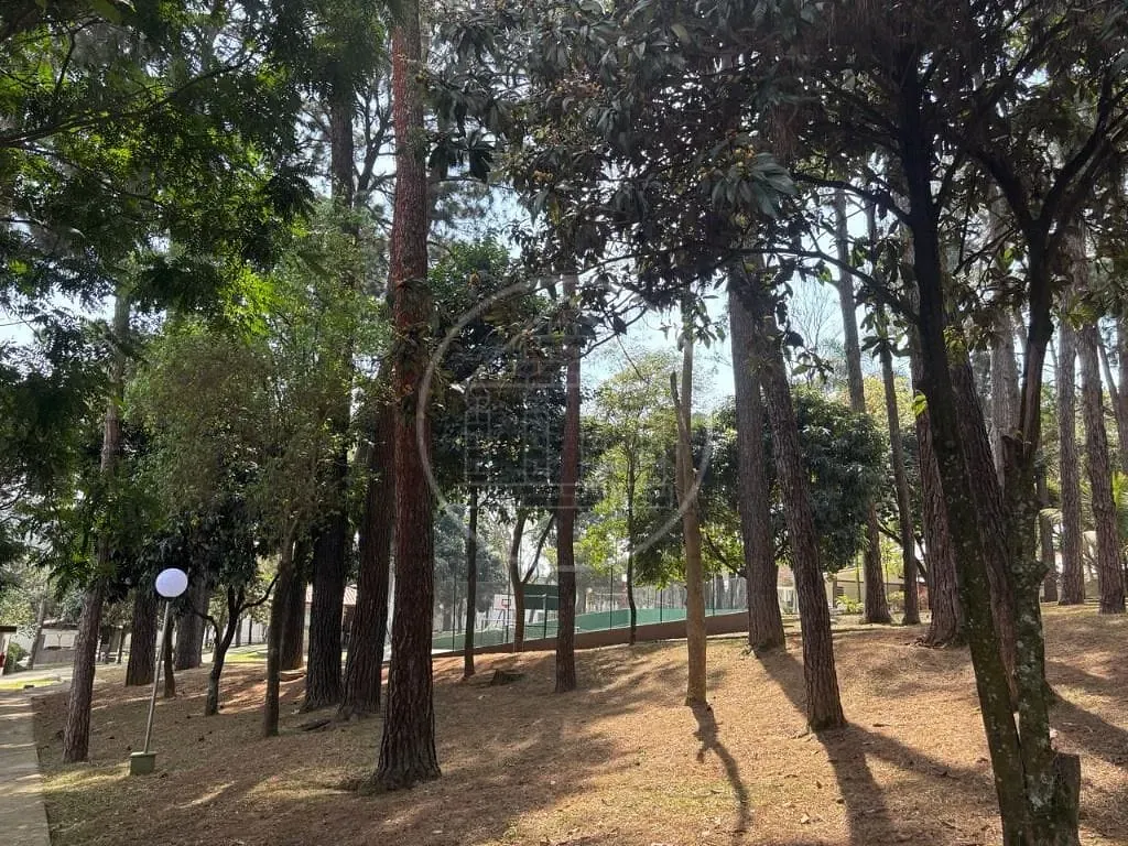 Apartamento, 4 quartos, 180 m² - Foto 15