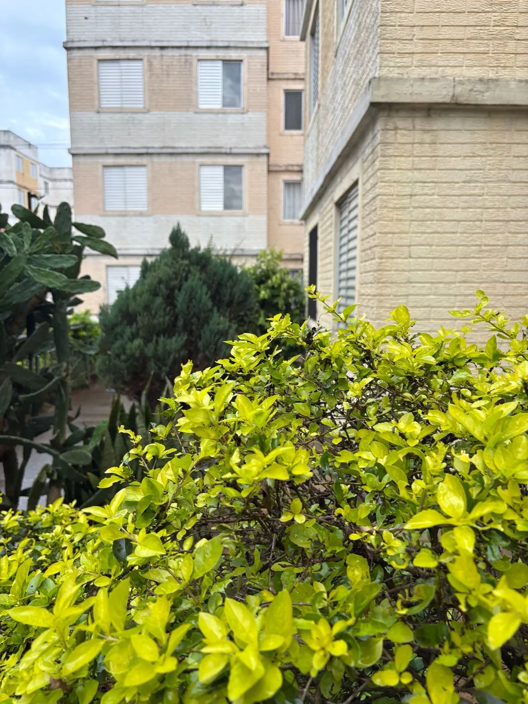 Apartamento, 2 quartos, 45 m² - Foto 2