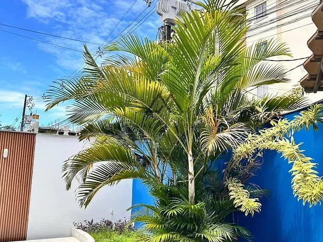 Casa 5 quartos e 4 banheiros, à venda ou para alugar, no bairro Nossa Senhora da Vitória em Ilhéus