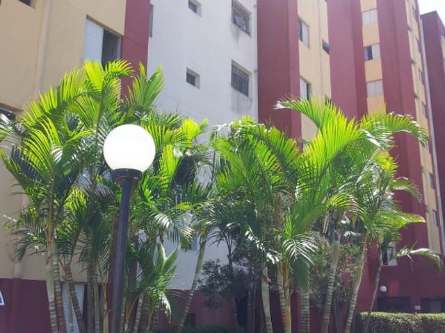 Foto do Apartamento - Apartamento à venda 2 Quartos, 1 Vaga, 50M², Vila Curuçá, São Paulo - SP | CONDOMÍNIO RESIDENCIAL DI ROMA | Abranches Consultoria de Imóveis