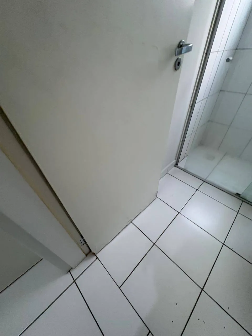 Apartamento, 2 quartos, 52 m² - Foto 59