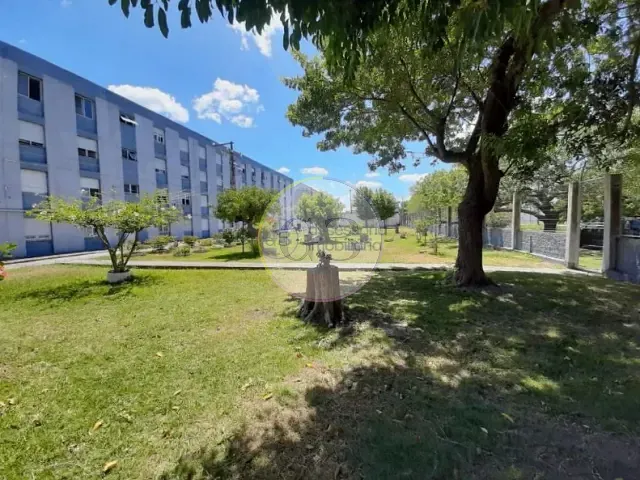 Apartamento 1 quarto e 1 banheiro, para alugar, no bairro Cidade Nova em Rio Grande