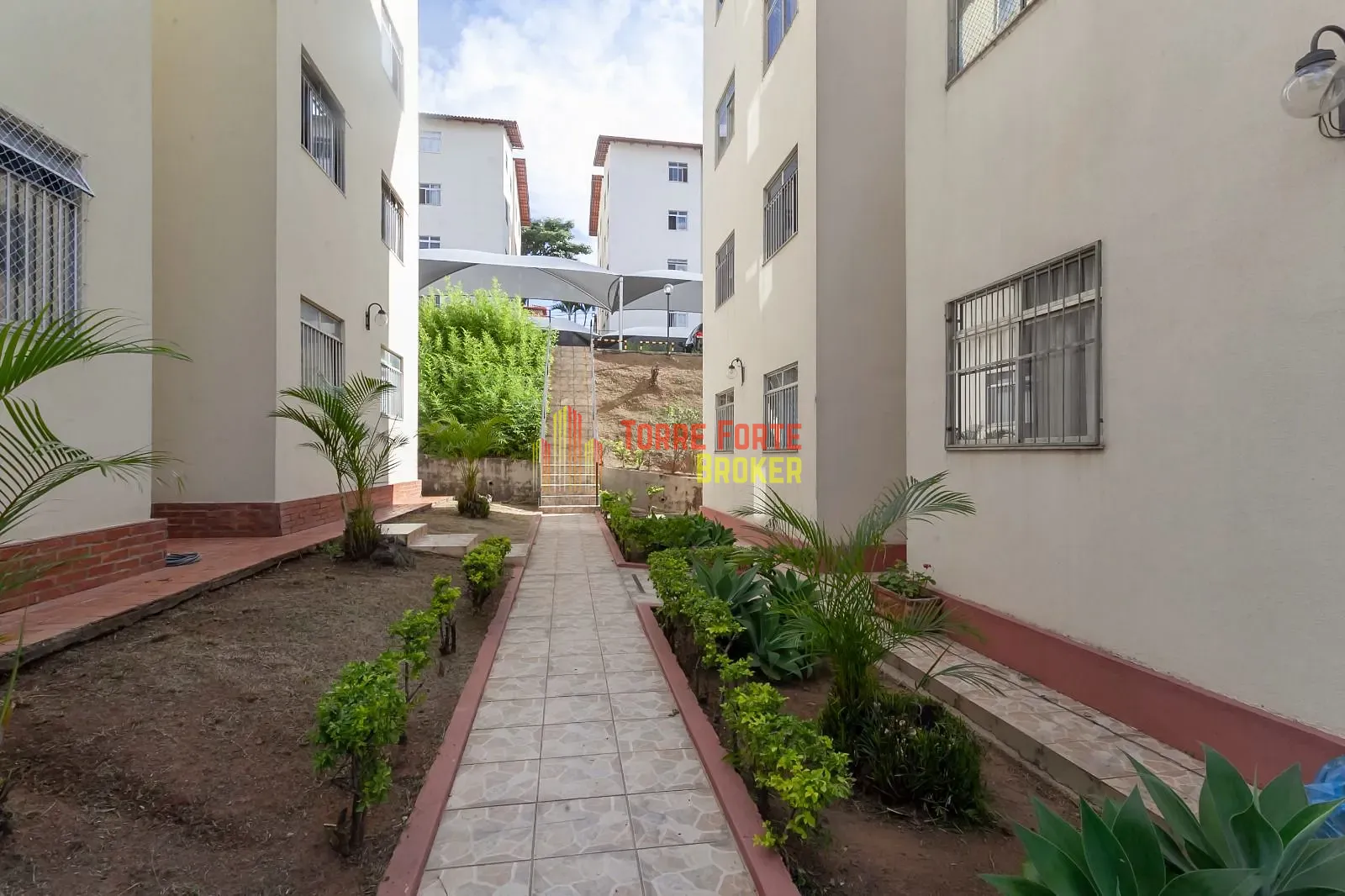 Apartamento, 3 quartos, 59 m² - Foto 2