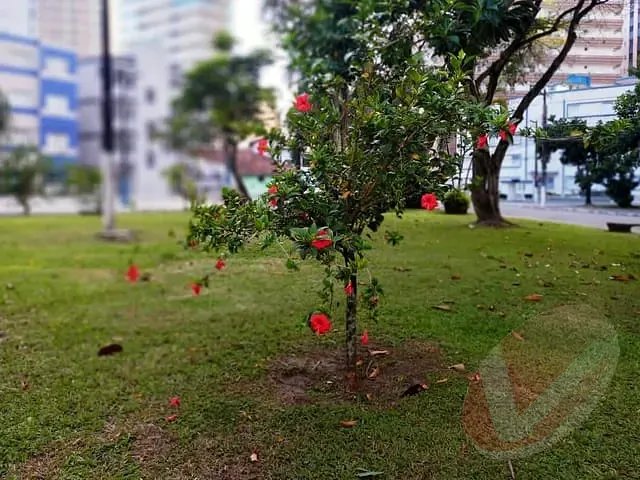 Apartamento 1 quarto e 2 banheiros, à venda, no bairro Caiçara em Praia Grande