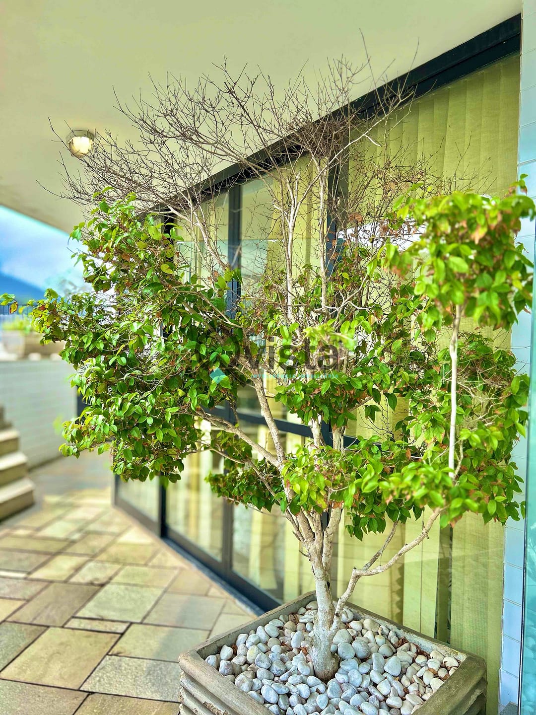 Cobertura à venda com 3 quartos, 140m² - Foto 42