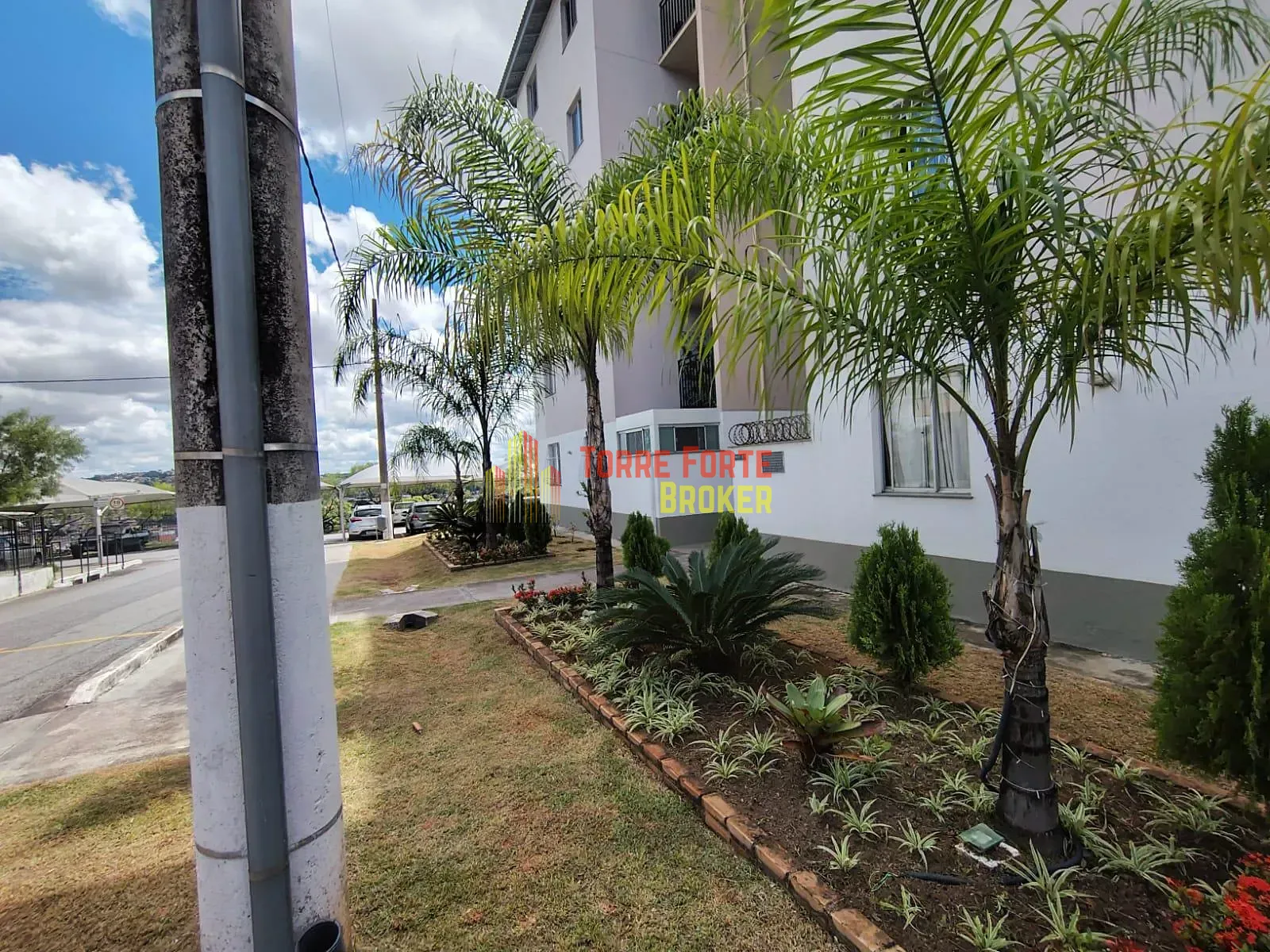 Apartamento, 3 quartos, 65 m² - Foto 6