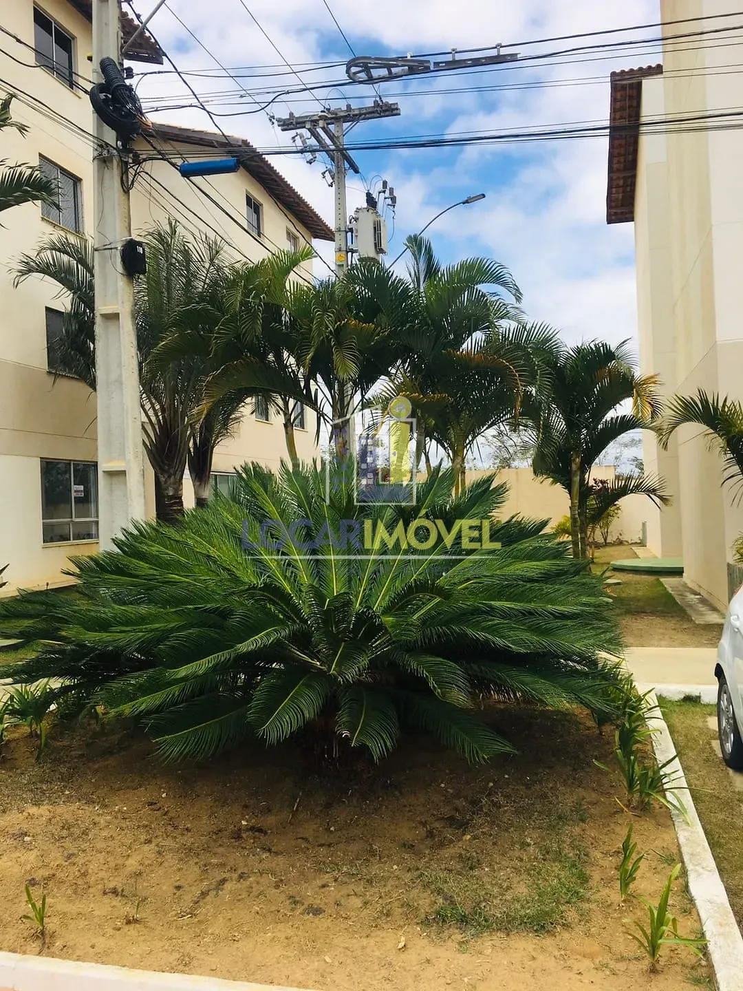 Apartamento, 3 quartos, 65 m² - Foto 19