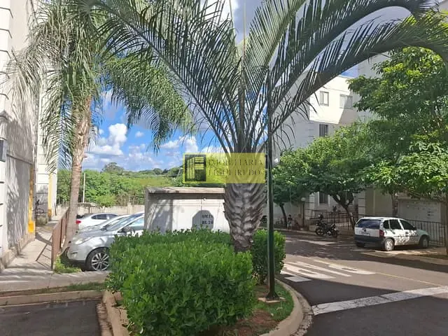 Apartamento com 63m² 2 quartos e 1 banheiro, para alugar, no bairro Residencial Palestra em São José do Rio Preto