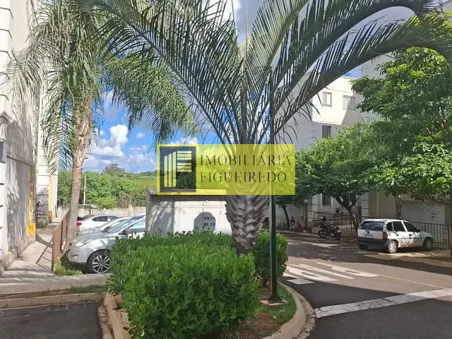 Apartamento com 63m² 2 quartos e 1 banheiro, para alugar, no bairro Residencial Palestra em São José do Rio Preto