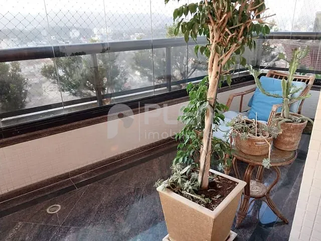 Apartamento com 250m² 4 quartos e 6 banheiros, à venda, no bairro Água Fria em São Paulo