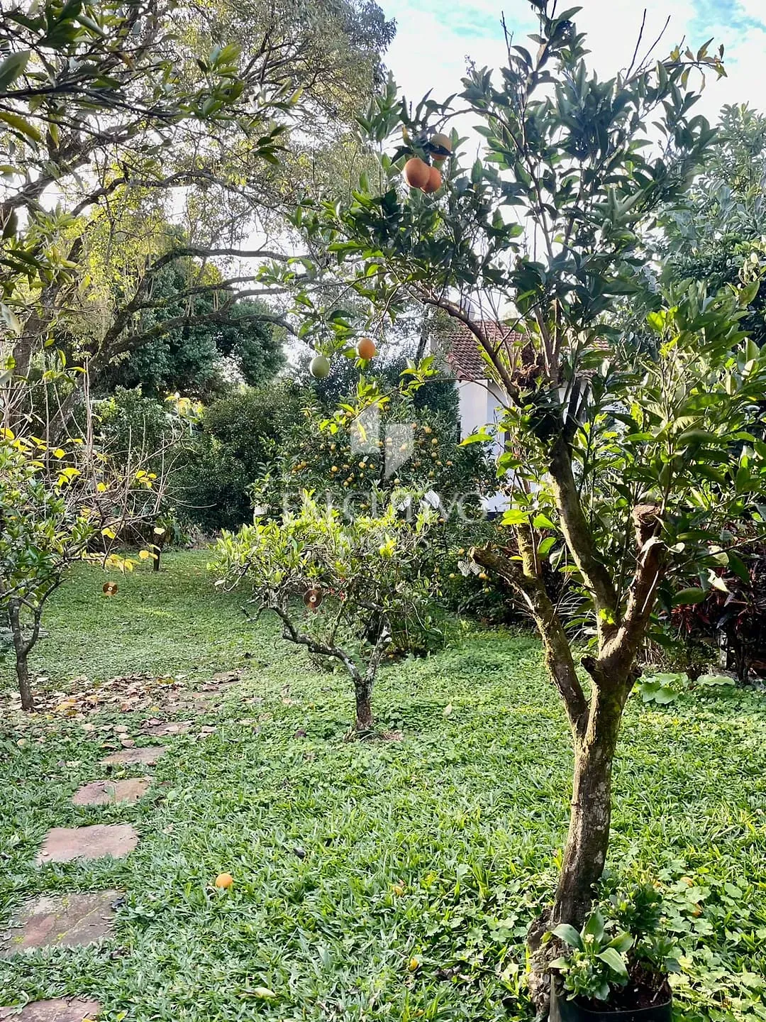 Apartamento, 3 quartos, 88 m² - Foto 14