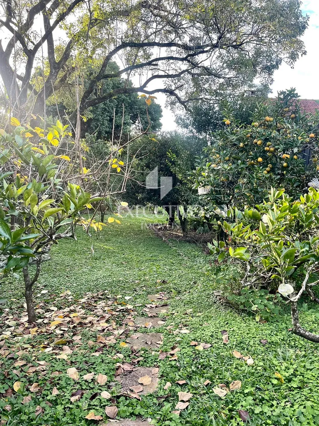 Apartamento, 3 quartos, 88 m² - Foto 16