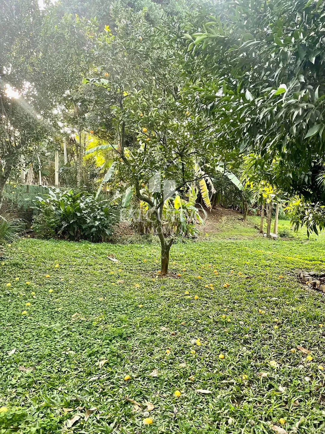 Apartamento, 3 quartos, 88 m² - Foto 17